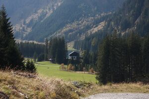 Schwarzenseealmen kleinsölk 74422 2014-10-07.jpg