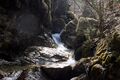 Spitzenbachklamm-0291-2025-03-21.jpg