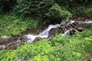 Stillbach winkel 78002 2018-06-11.jpg