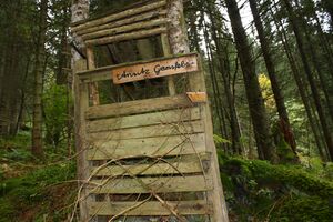 Teufelsschlucht Seewigtal 73435 2014-10-02.jpg