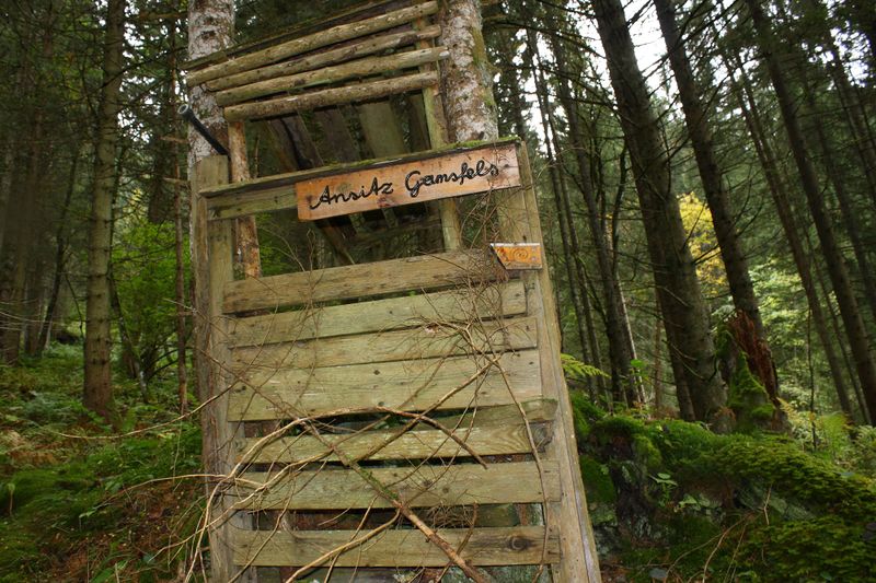 Datei:Teufelsschlucht Seewigtal 73435 2014-10-02.jpg