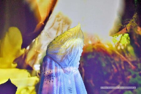 Traumwelt des Lichts - der Geist der Weihnacht 2025 12.jpg