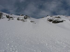 Wildkar 2427 2007-03-05.jpg