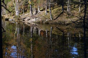 Ödensee 78080 2014-11-03.jpg