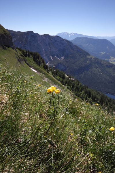 Datei:Altausseersee -graskogel 50771 2017-06-11.jpg