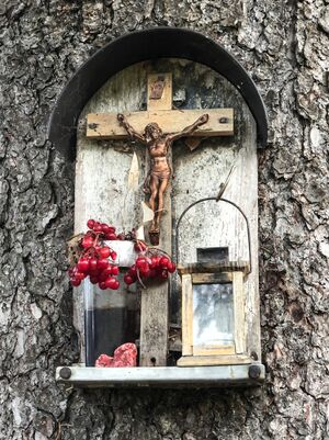 BST Admont ennsradbrücke-31-2021-10-31.jpg