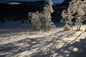Bodensee 26489 2014-01-01.jpg