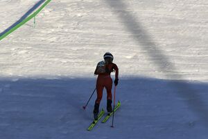 DREIER SARAH AUT nr 21-0257-2024-03-02.jpg