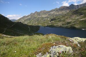 Giglachsee 1284 2011-06-22.jpg