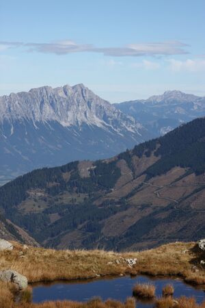 Goldlacken 0479 2013-10-08.jpg