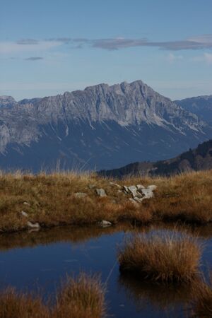 Goldlacken 0482 2013-10-08.jpg