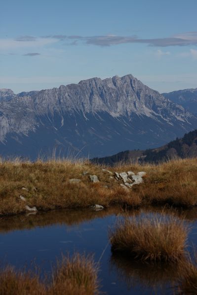 Datei:Goldlacken 0482 2013-10-08.jpg