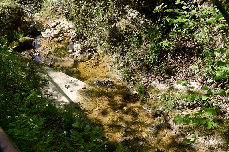 Datei:ND 356 Teichenbach Unterkainisch-0214-2025-05-01.jpg