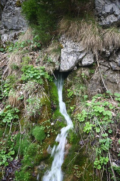 Datei:Pass-Stein-Straße wasserfälle 21050 2016-04-15.jpg
