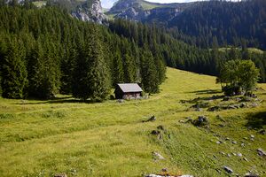 Pfarralm Johnsbach-2000-2021-07-03-2.jpg