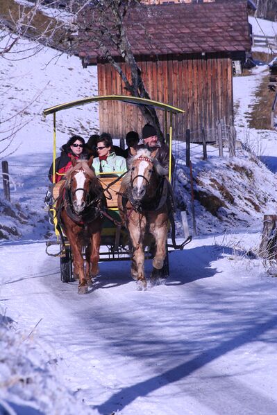 Datei:Pferdeschlitten rohrmoos-3100-2006-12-25.jpg