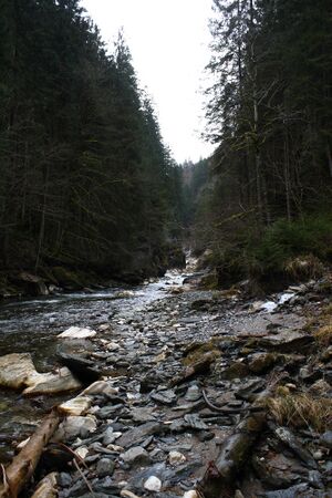 Strubschlucht 34338 2014-01-20.jpg