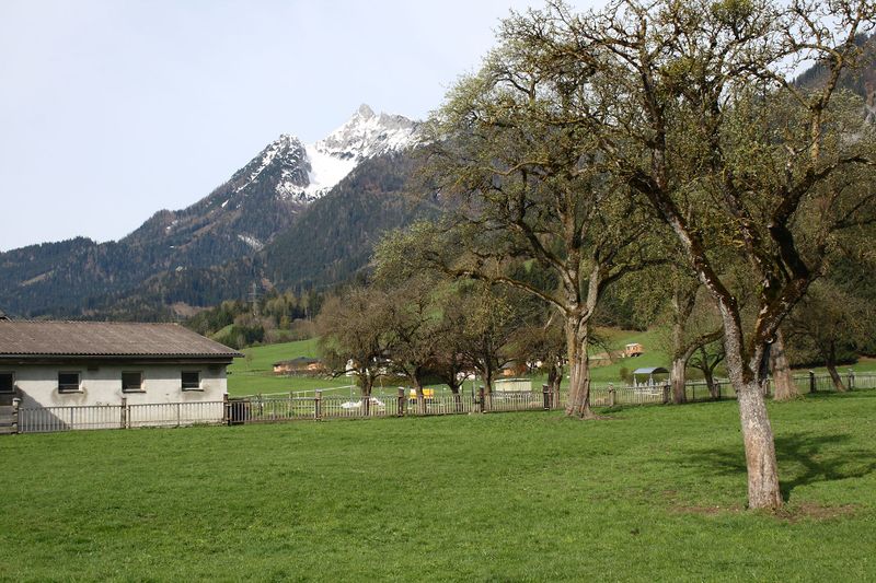 Datei:Tipschern 20999 2016-04-15.jpg