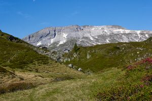 Tonner Hütte-30-2022-06-19.jpg