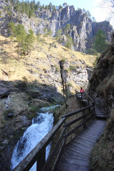 Datei:Wasserlochklamm palfau 70325 2018-04-23.jpg