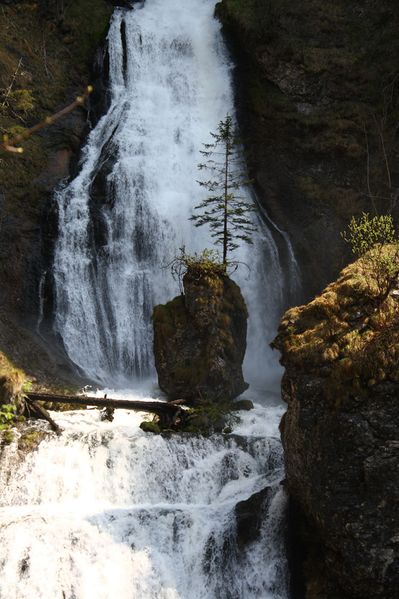 Datei:Wasserlochklamm palfau 70393 2018-04-23.jpg