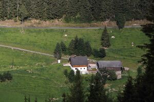 Windleitner preunegg-12-2018-07-26.jpg