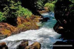 2025 06 22 Schladming Talbachklamm Wanderung 39.jpg