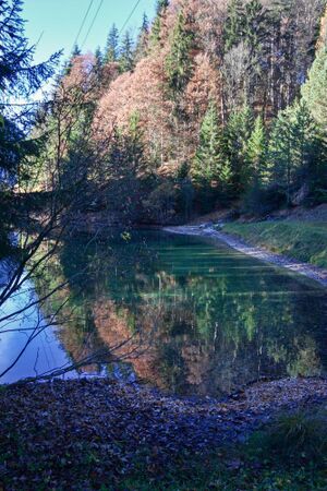 Almseeteich burgstaller 13964 2015-11-12.jpg