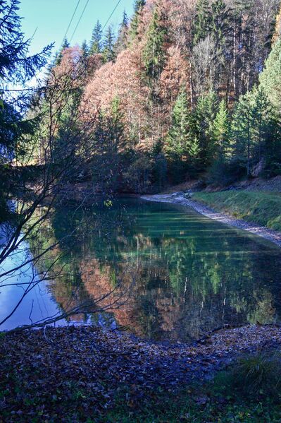 Datei:Almseeteich burgstaller 13964 2015-11-12.jpg