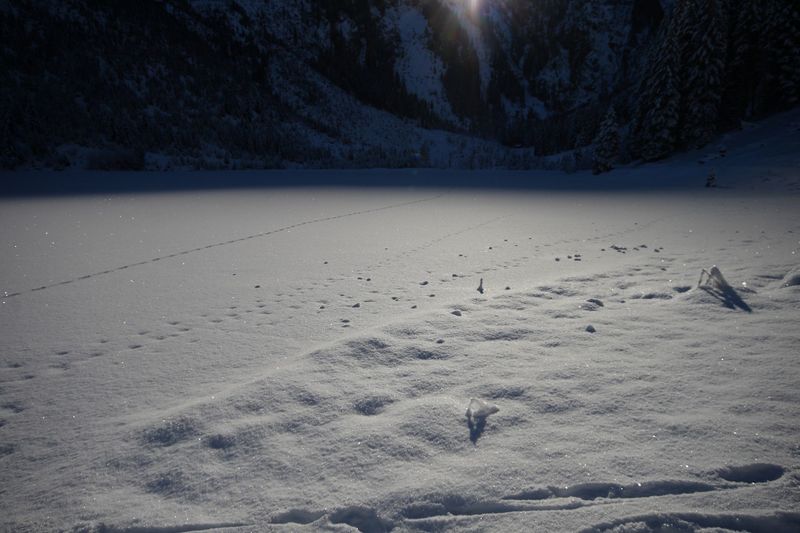 Datei:Bodensee 26498 2014-01-01.jpg