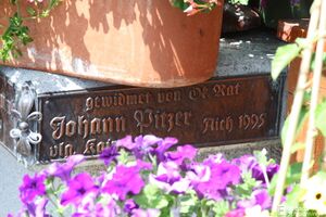 Ennsbrücke aich 7871.jpg