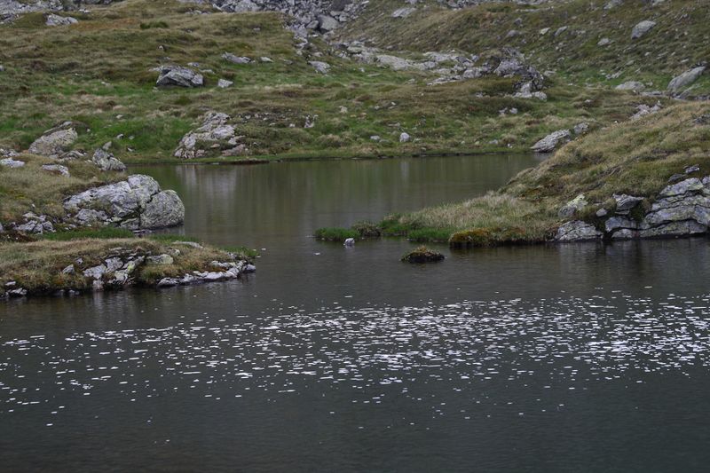 Datei:Grubersee katschtal 0041 13-07-15.jpg