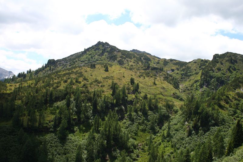 Datei:Höllermahd 93289 2015-06-26.jpg