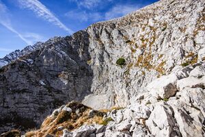 Kasten grimming 12959 2015-10-28.jpg