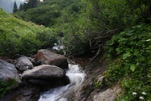 Mößnakarbach 1302 13-07-12.jpg