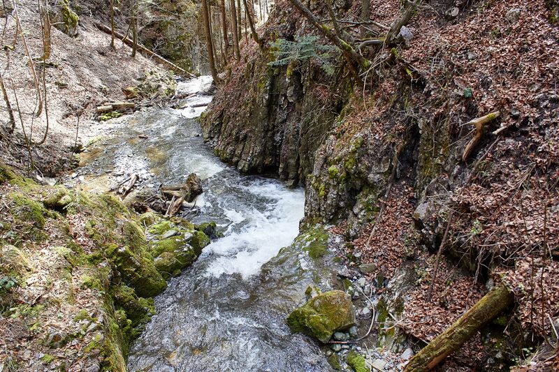 Datei:Mühlbach lessern-0169-2023-04-22.jpg
