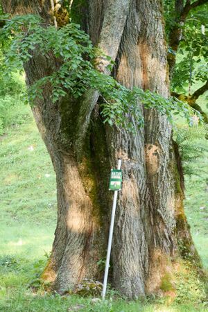 ND 917 Griesbach-0009-2025-06-18.jpg