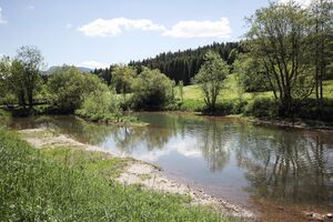 ObersdorferbachBadM 50091 2017-05-27.jpg
