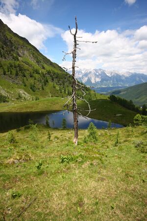 Schobersee 93165 2015-06-26.jpg