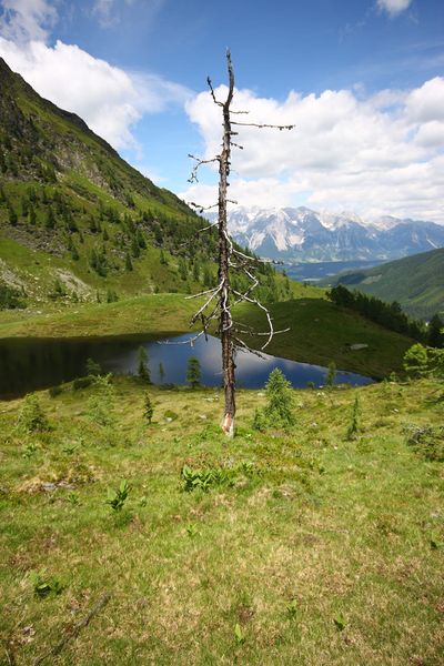 Datei:Schobersee 93165 2015-06-26.jpg