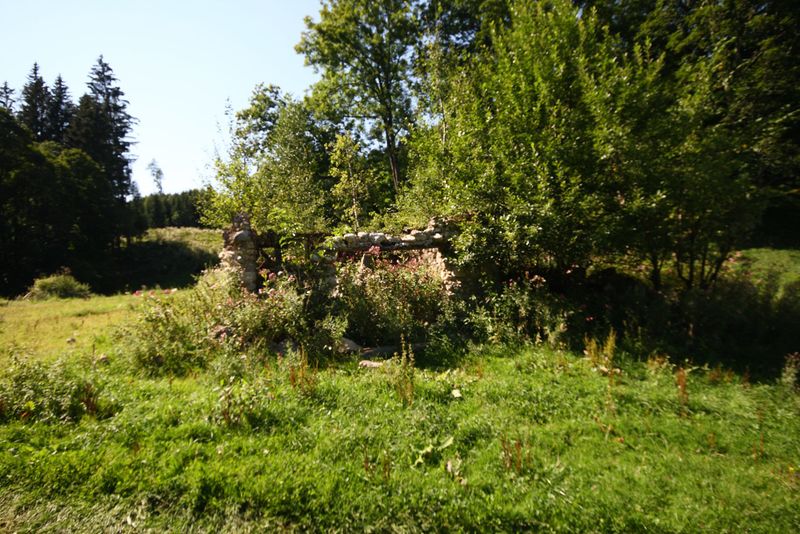 Datei:Stallbauer rössing 98977 2015-08-26.jpg