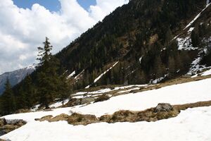 Strickerkar 55691 2014-05-02.jpg