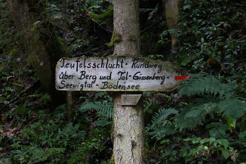 Datei:Teufelsschlucht Seewigtal 73358 2014-10-02.jpg