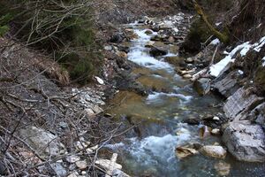 Walchental 43584 2014-02-26.jpg