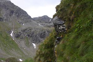 Wildkar 2279 2009-07-25.jpg