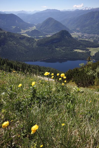 Datei:Altausseersee -graskogel 50770 2017-06-11.jpg