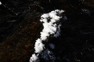 Bodenseerbach 26720 2014-01-01.jpg