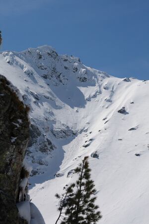 Eiskar 2878 2009-04-25.jpg