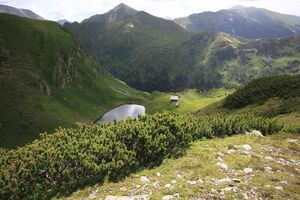 Gr reitersee sommereck 77905 2018-06-11.jpg