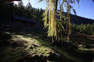 Kammalm 40590 2012-10-05.jpg